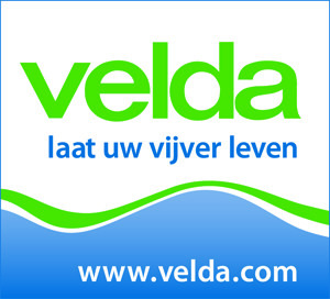 Velda